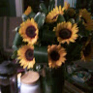 Meet your Posher, Jude